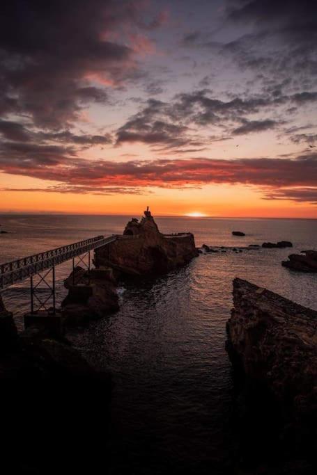 Magnifique T3 - Grande Plage Biarritz Exterior foto