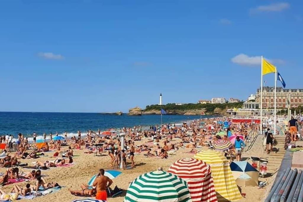 Magnifique T3 - Grande Plage Biarritz Exterior foto