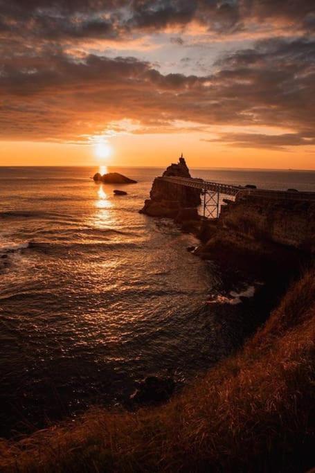 Magnifique T3 - Grande Plage Biarritz Exterior foto